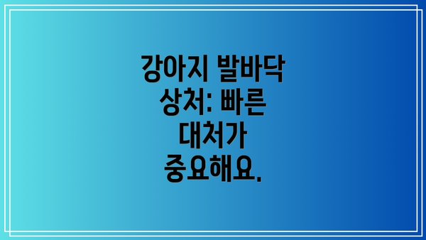 강아지 발바닥 상처: 빠른 대처가 중요해요.