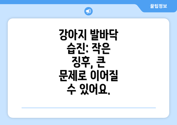 강아지 발바닥 습진: 작은 징후, 큰 문제로 이어질 수 있어요.