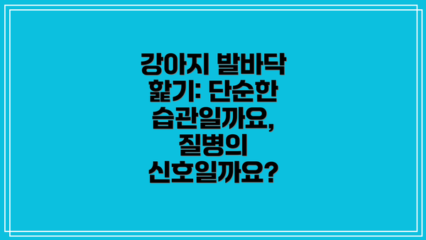 강아지 발바닥 핥기: 단순한 습관일까요, 질병의 신호일까요?