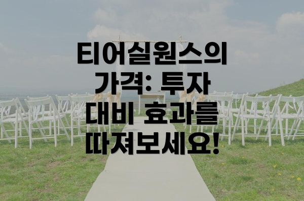 티어실원스의 가격: 투자 대비 효과를 따져보세요!