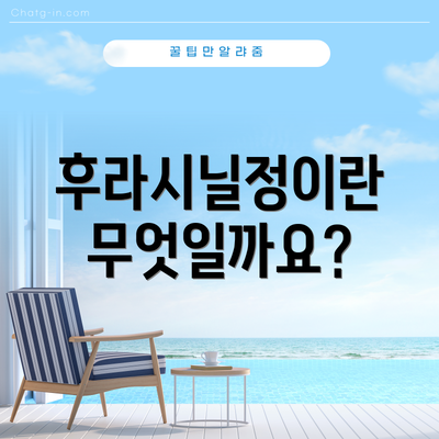 후라시닐정이란 무엇일까요?