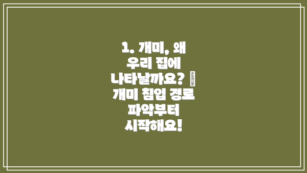 1. 개미, 왜 우리 집에 나타날까요? 🤔 개미 침입 경로 파악부터 시작해요!