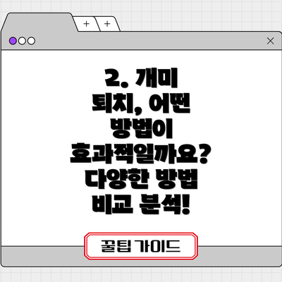 2. 개미 퇴치, 어떤 방법이 효과적일까요? 다양한 방법 비교 분석!