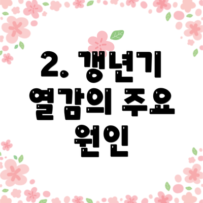 2. 갱년기 열감의 주요 원인
