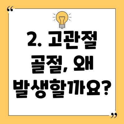 2. 고관절 골절, 왜 발생할까요?