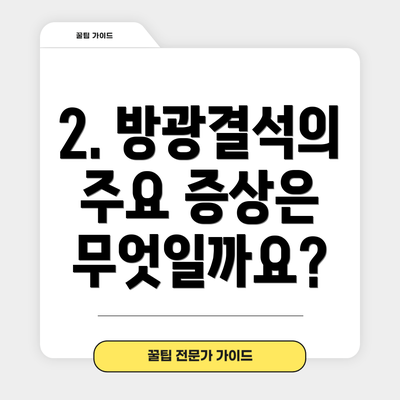 2. 방광결석의 주요 증상은 무엇일까요?