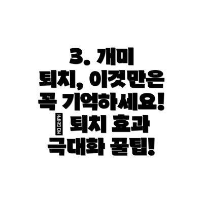 3. 개미 퇴치, 이것만은 꼭 기억하세요! ✅ 퇴치 효과 극대화 꿀팁!