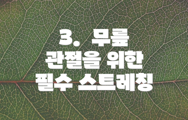 3.  무릎 관절을 위한 필수 스트레칭