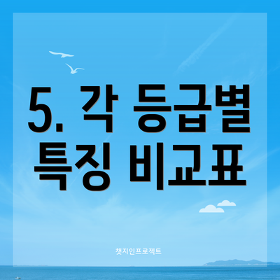 5. 각 등급별 특징 비교표