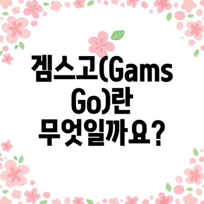 겜스고(GamsGo)란 무엇일까요?