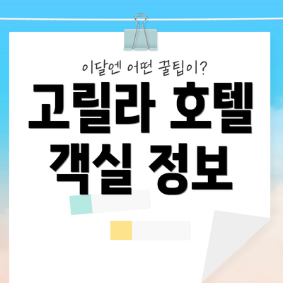 고릴라 호텔 객실 정보