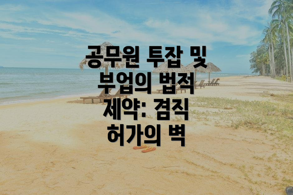 공무원 투잡 및 부업의 법적 제약: 겸직 허가의 벽