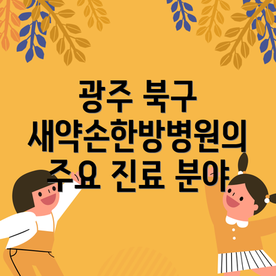 광주 북구 새약손한방병원의 주요 진료 분야