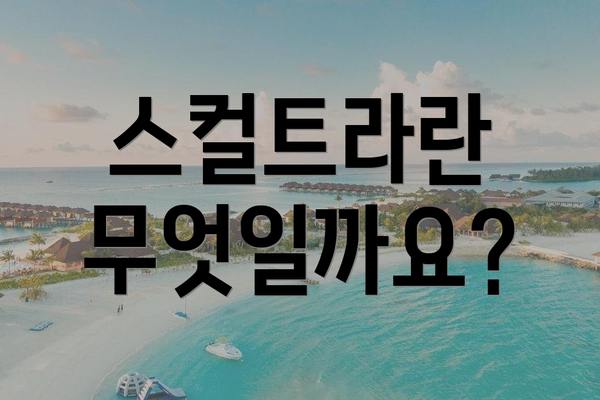스컬트라란 무엇일까요?