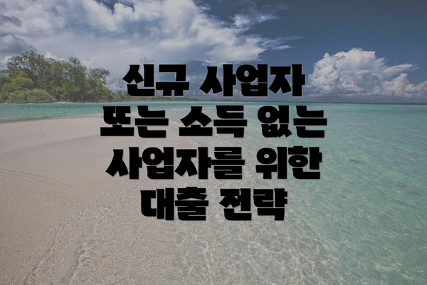 신규 사업자 또는 소득 없는 사업자를 위한 대출 전략