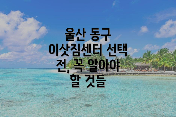 울산 동구 이삿짐센터 선택 전, 꼭 알아야 할 것들