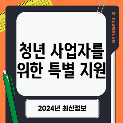 청년 사업자를 위한 특별 지원