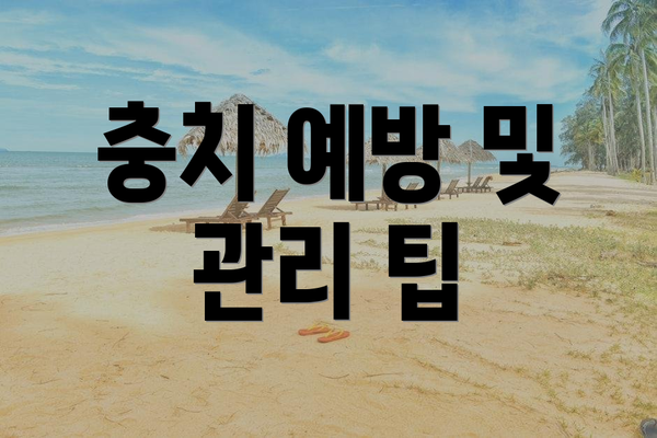 충치 예방 및 관리 팁