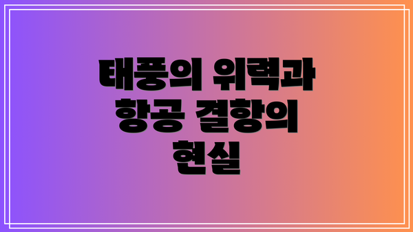 태풍의 위력과 항공 결항의 현실