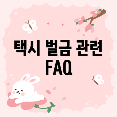 택시 벌금 관련 FAQ