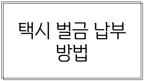 택시 벌금 납부 방법