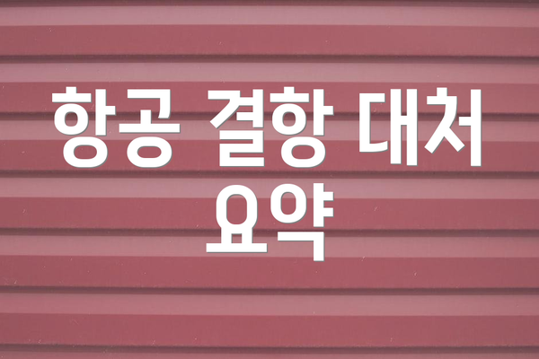 항공 결항 대처 요약