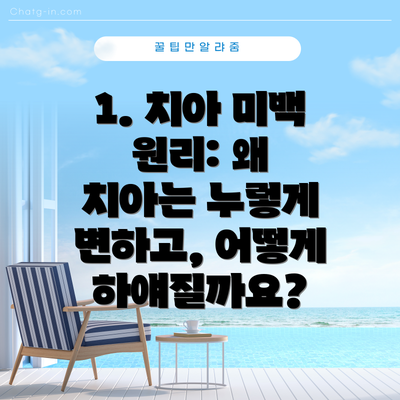 1. 치아 미백 원리: 왜 치아는 누렇게 변하고, 어떻게 하얘질까요?