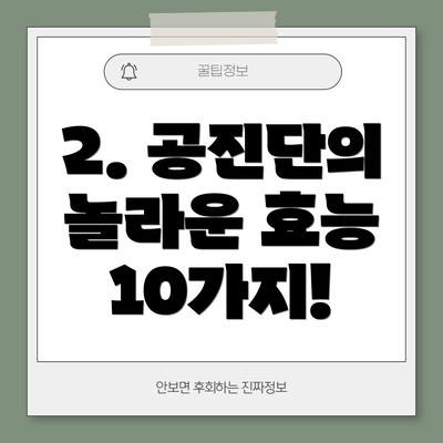 2. 공진단의 놀라운 효능 10가지!