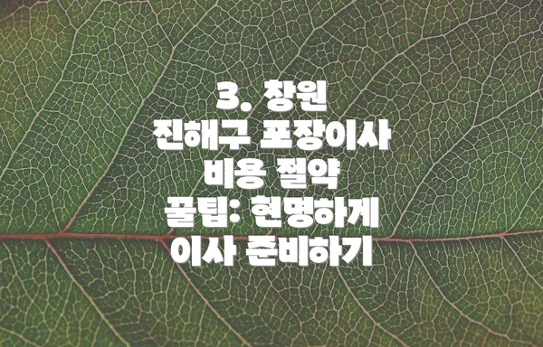 3. 창원 진해구 포장이사 비용 절약 꿀팁: 현명하게 이사 준비하기